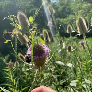 Meet your Posher, Eleanor